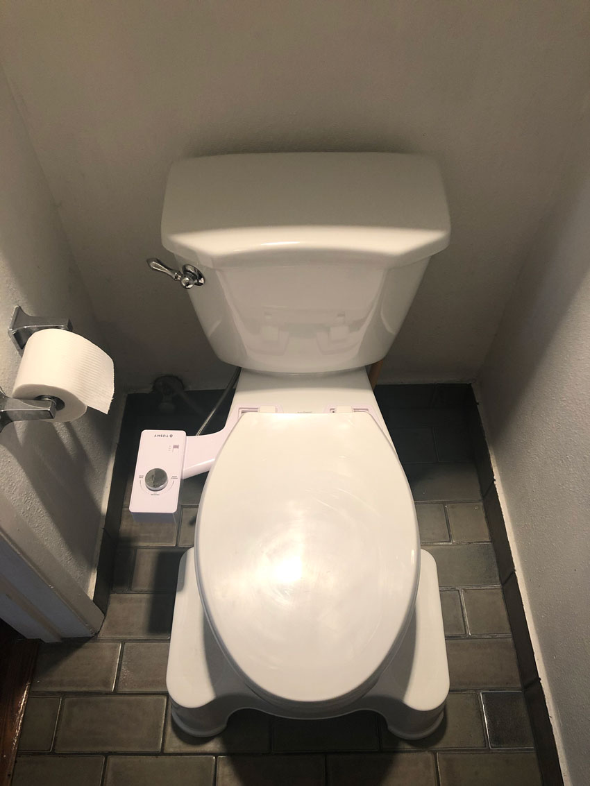 How to Clean A Toilet and Why It Matters — TUSHY